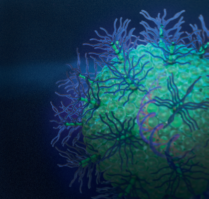 peg-alternatives-for-rna-therapeutics