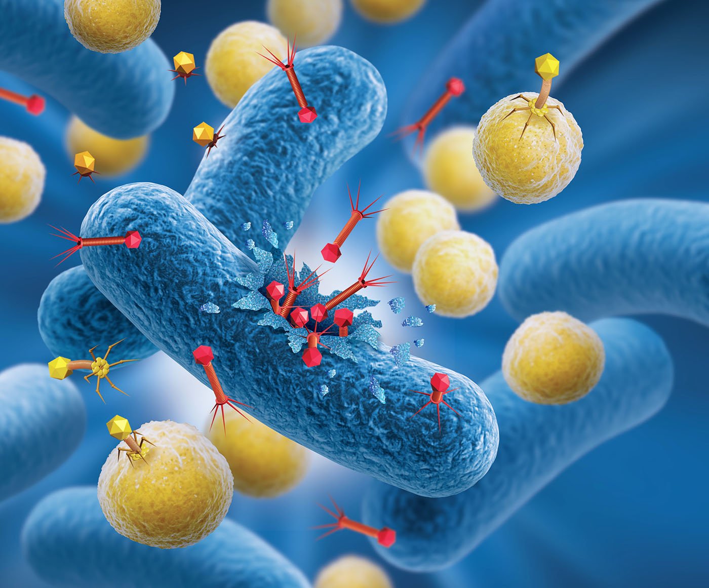 bird-flu’s-human-risk-spurs-phage-therapy-research