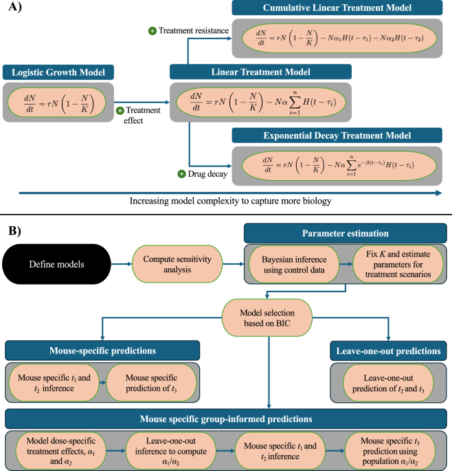 modeling-tumor-dynamics-and-predicting-response-to-therapies-in-a-murine-pancreatic-cancer-model