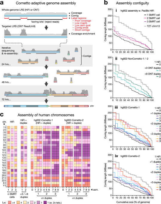 targeted-sequencing-and-iterative-assembly-of-near-complete-genomes