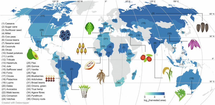 revitalizing-orphan-crops-to-combat-food-insecurity