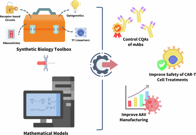 mammalian-synthetic-gene-circuits-for-biopharmaceutical-development-&-manufacture