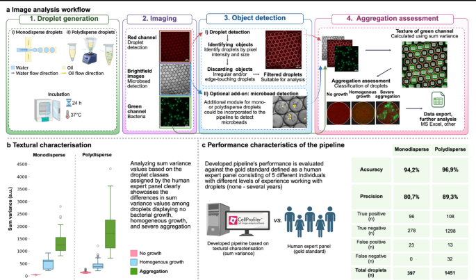 high-throughput-bacterial-aggregation-analysis-in-droplets
