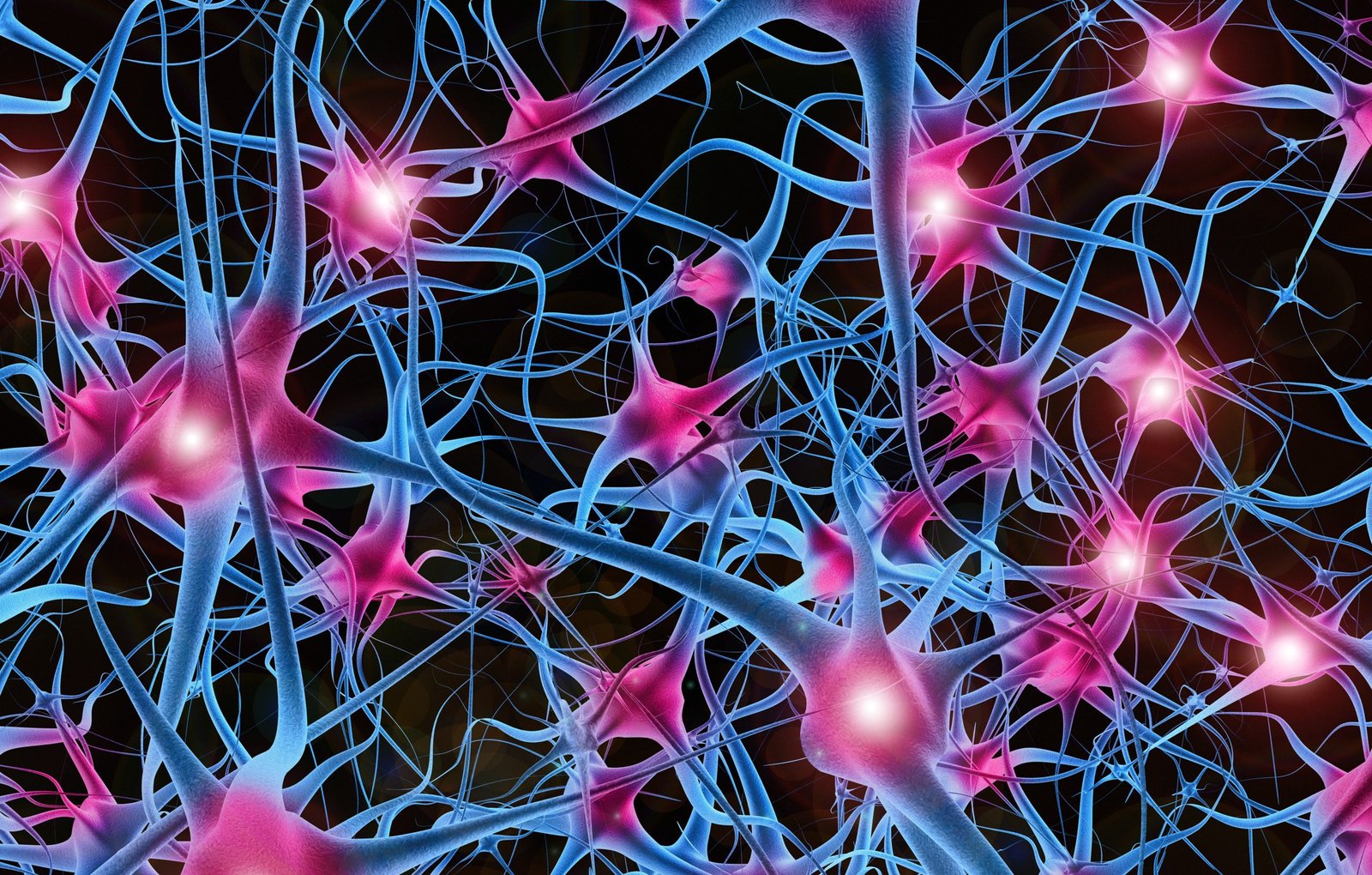 bioprocessing-advances-push-ipsc-derived-neurons-toward-the-clinic