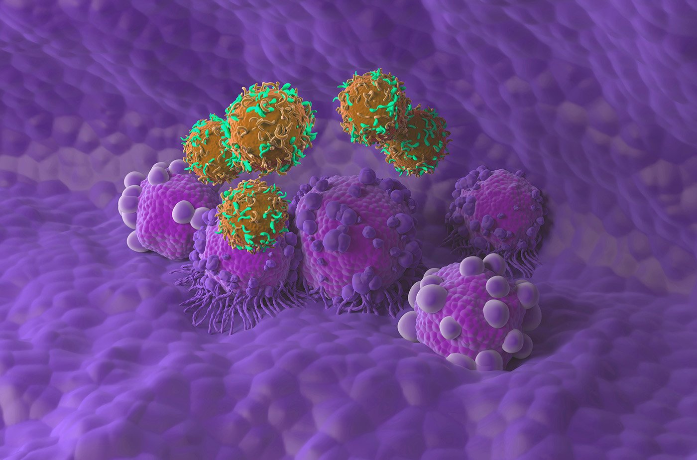 next-gen-car-t-cells-destroy-cancer-cells-with-fewer-toxic-effects-in-mice