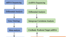 in-vivo-chemogenetic-rna-editing-of-macrophages-by-bioengineered-viruses-for-sepsis-treatment