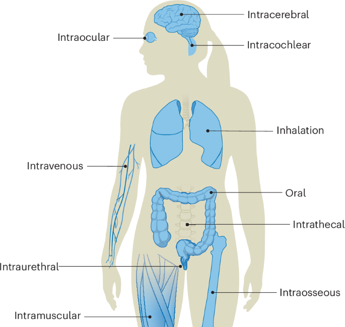targeted-delivery-of-genome-editors-in-vivo