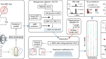 identification-of-antimicrobial-peptides-from-ancient-gut-microbiomes