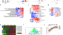 simultaneous-epigenomic-profiling-and-regulatory-activity-measurement-using-e2mpra