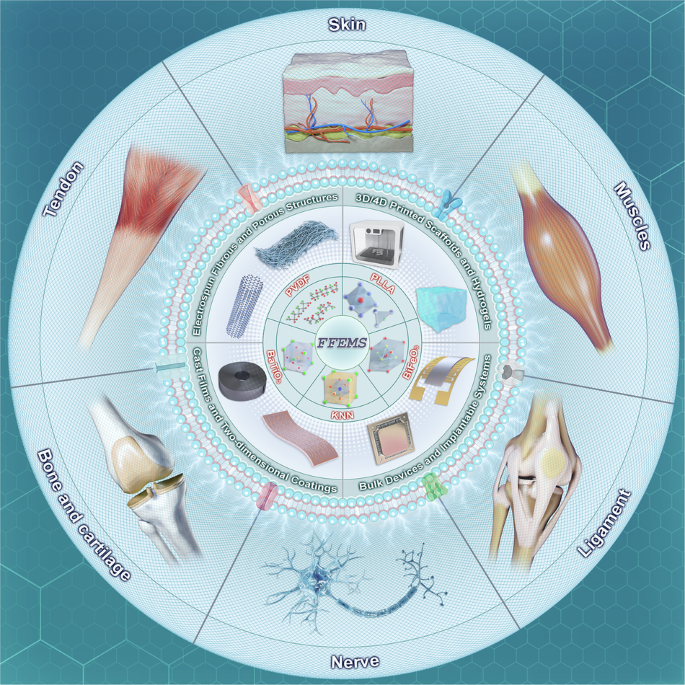 flexible-ferroelectric-biomaterials-for-skin,-neural,-and-musculoskeletal-tissue-repair