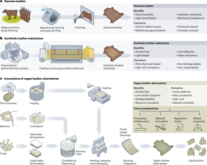 integrating-materials-innovation-and-policy-challenges-for-leather-alternatives