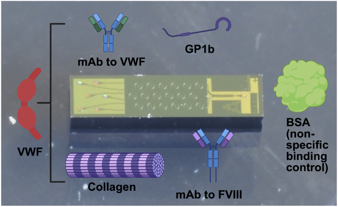 a-multi-readout-photonic-sensor-for-rapid-diagnosis-of-von-willebrand-disease