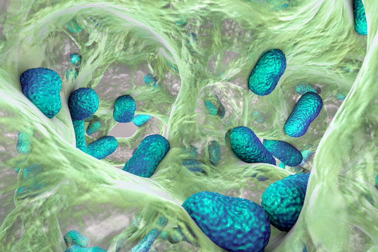 new-antibody-targets-bacterial-sugar-to-combat-drug‑resistant-infections