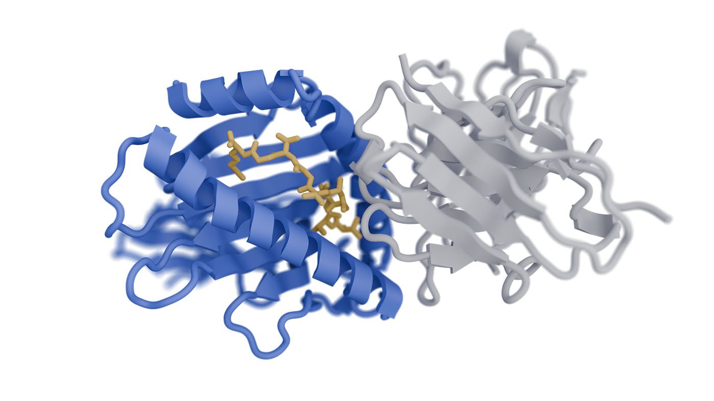 novel-antibody-technologies-strive-for-clinical-impact