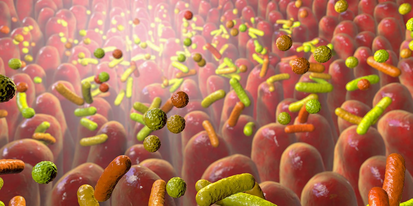 previously-unknown-gut-bacteria-emerge-as-global-marker-of-health