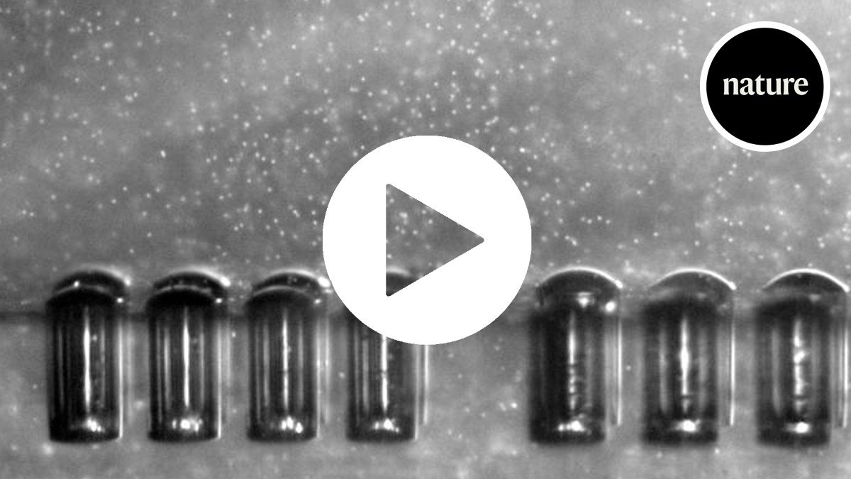 tiny-robot-fish-could-swim-through-the-body-powered-by-ultrasound