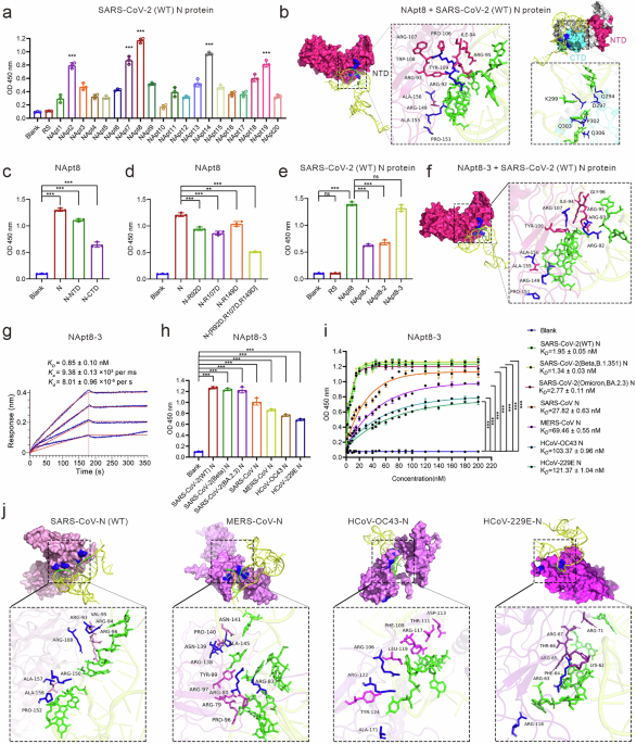 targeting-coronaviral-inflammation:-aptamer-based-strategies-for-emerging-threats
