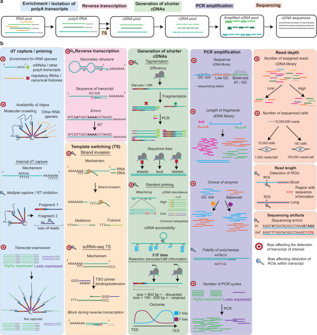 A practical guide to targeted single-cell RNA sequencing technologies