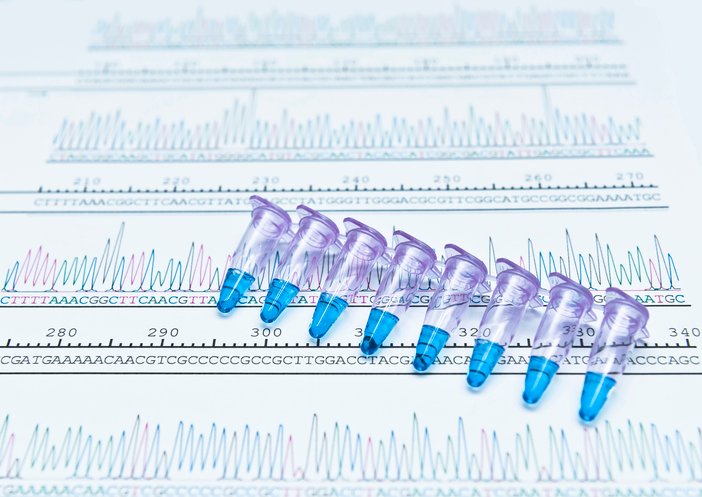 beam-designs-new-approach-for-direct-correction-of-mutations-causing-pku