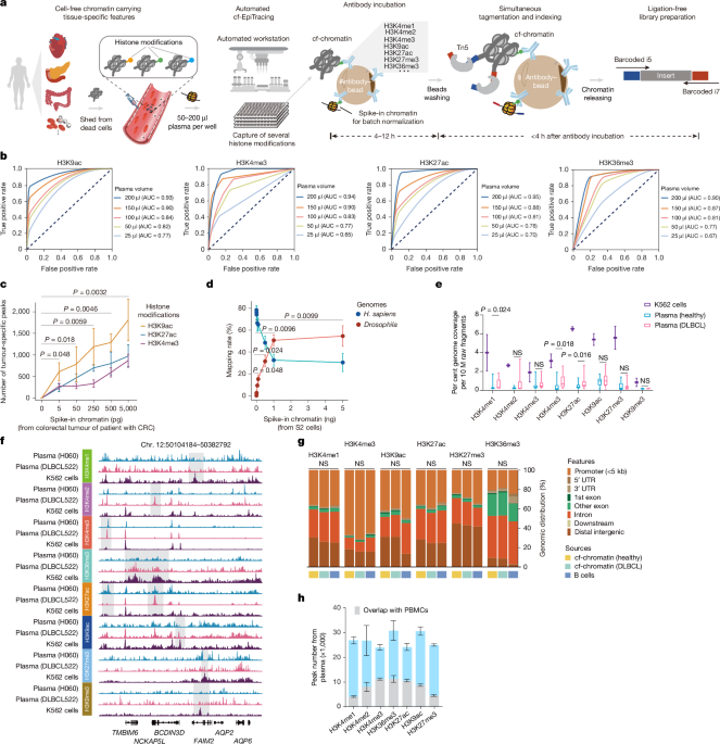 cell-free-chromatin-state-tracing-reveals-disease-origin-and-therapy-responses