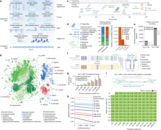 genome-modelling-and-design-across-all-domains-of-life-with-evo-2