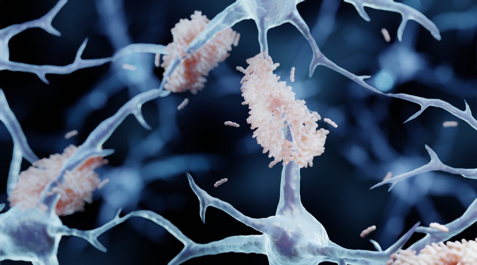 early-car-astrocyte-therapy-prevents-plaque-formation-in-alzheimer’s-mouse-model