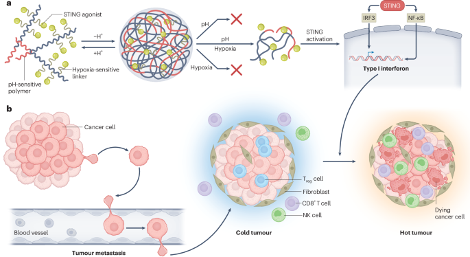 Logic‑gated nanomedicine activates STING to boost metastatic tumour immunotherapy