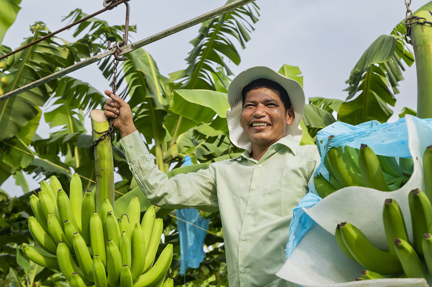 agbio:-redesigning-tomorrow’s-crops