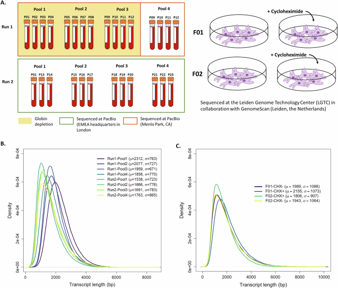 hifi-long-read-rna-sequencing-enhances-clinical-diagnostics-in-rare-disorders
