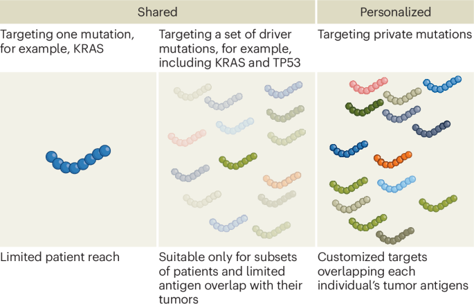 the-promises-and-challenges-of-neoantigen-cancer-vaccines