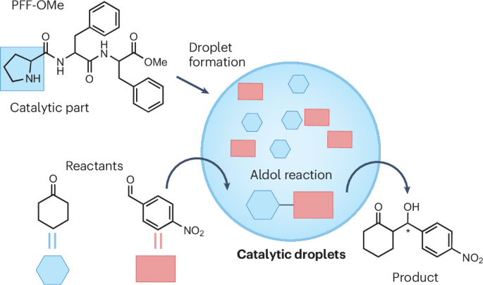 catalytic-droplets