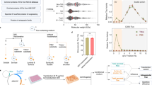 extracellular-vesicle-engineering-using-a-small-scaffold-protein