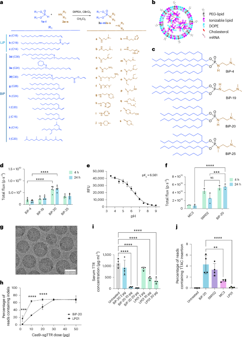 in-vivo-endosomal-escape-assay-identifies-mechanisms-for-efficient-hepatic-lnp-delivery